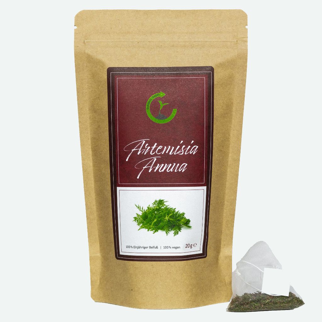 Artemisia annua • 100% Einjähriger Beifuß • 20g im Aufgussbeutel