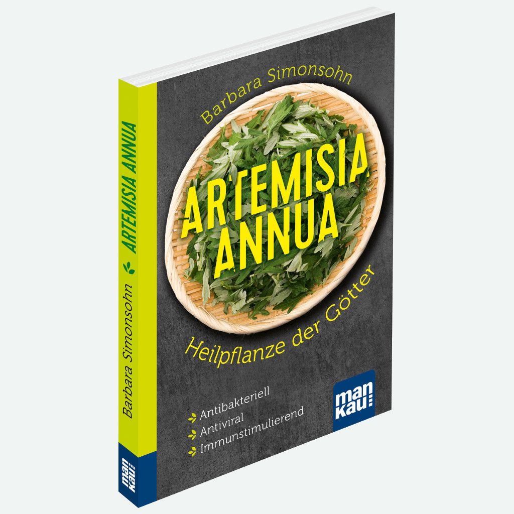 Artemisia annua • 100% Einjähriger Beifuß • 20g im Aufgussbeutel + Buch 